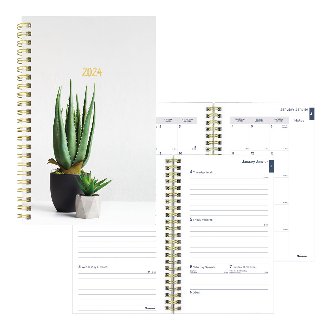 Succulent Plants Weekly/Monthly Planner 2024, Bilingual