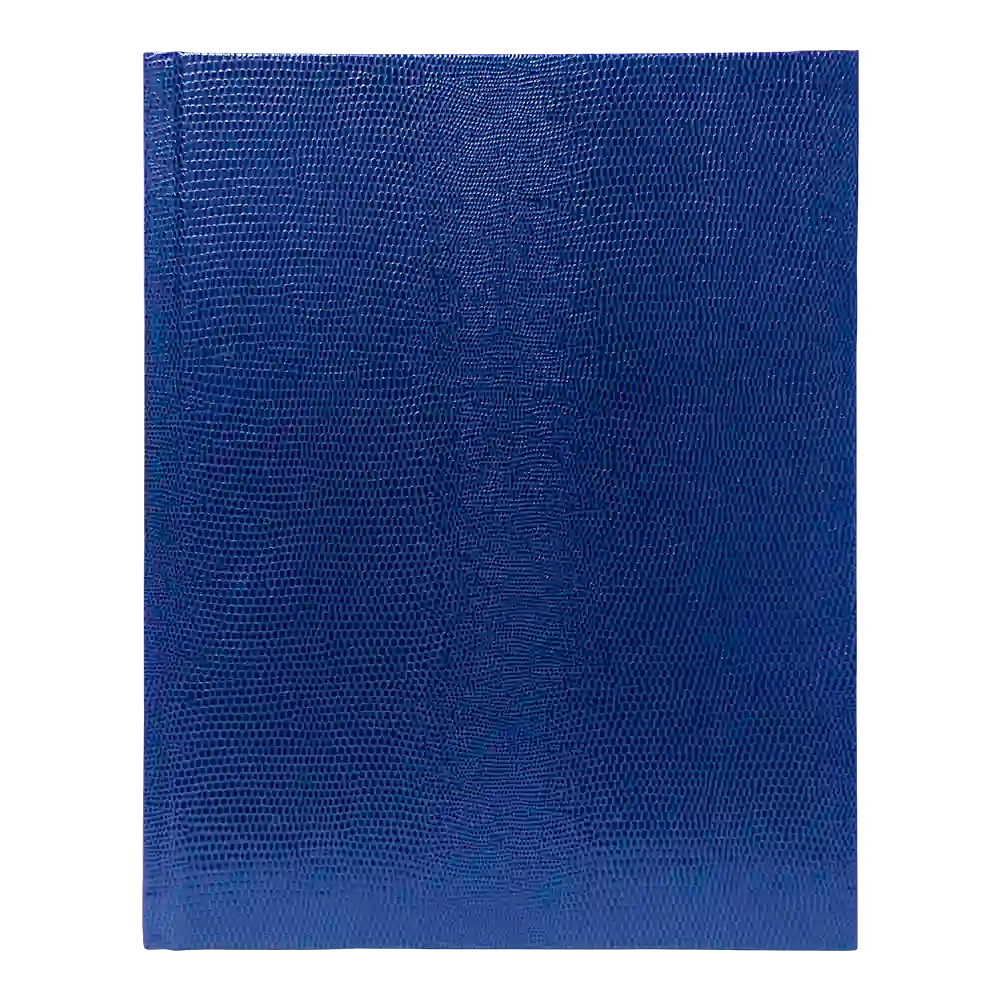 Executive Journal#colour_blue