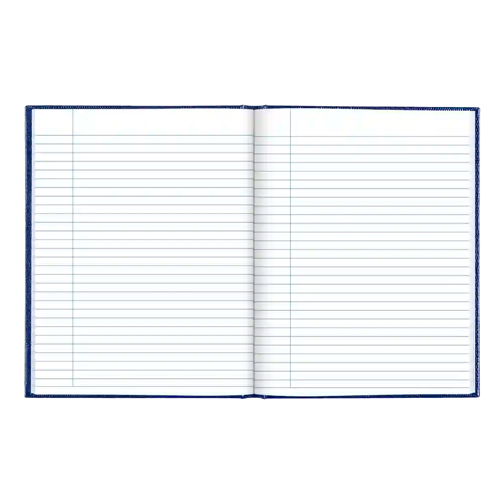Executive Journal#colour_blue
