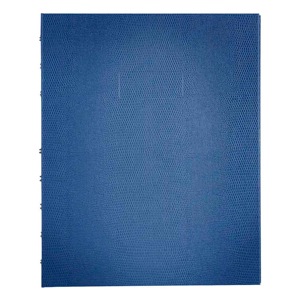 MiracleBind Notebook#color_blue