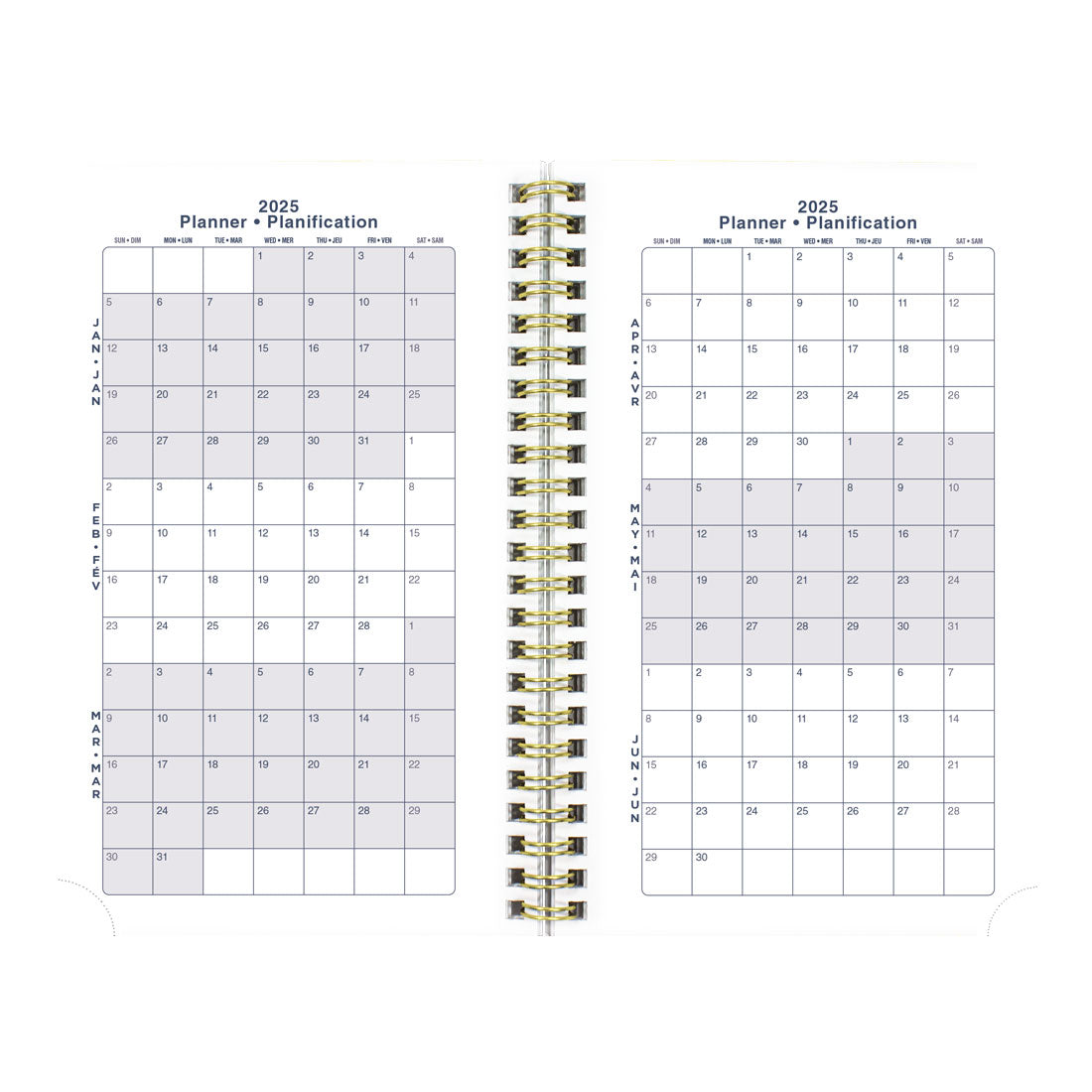 Succulent Plants Weekly/Monthly Planner 2025, Bilingual, C101BPT.01