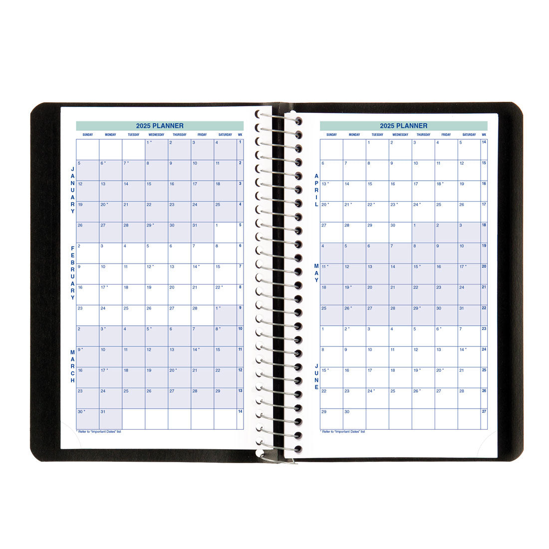 Essential Daily Planner 2025, English, C1504.81T#colour_black
