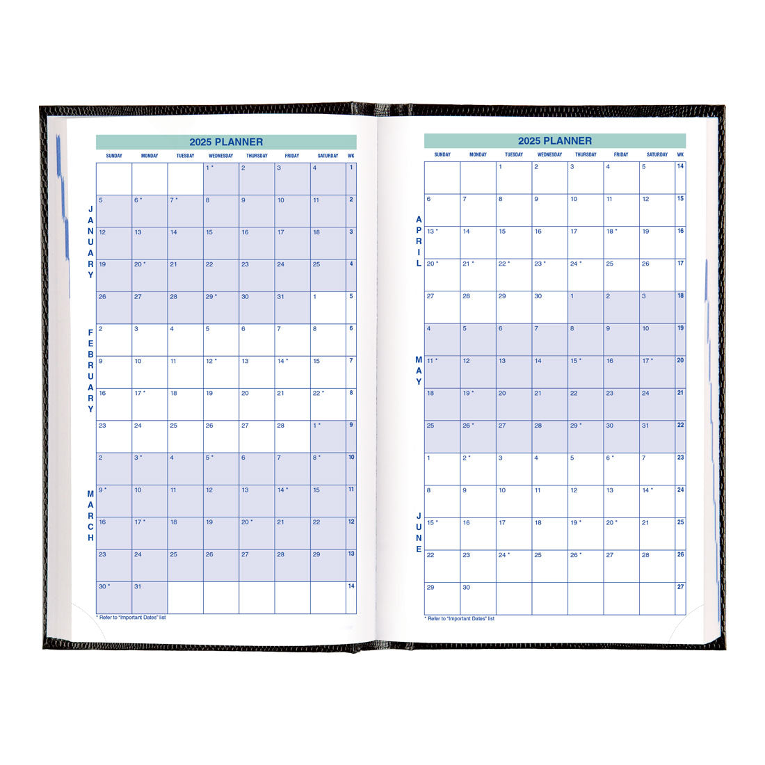 Daily Planner 2025, English, Black, C1504.81