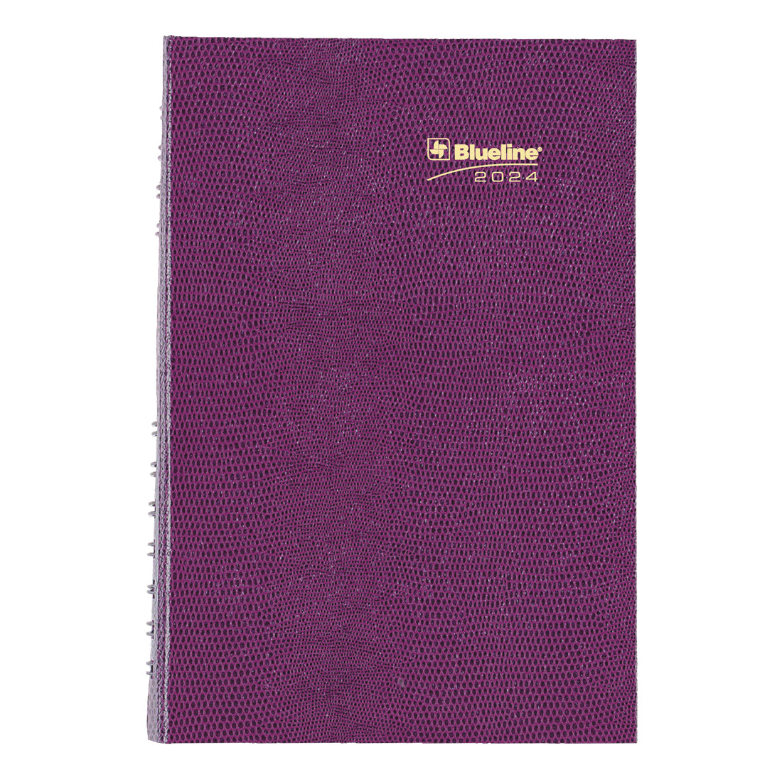 CoilPro Daily Planner 2025, Bilingual, Assorted Colours Blueline