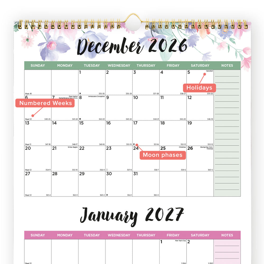 Monthly Wall Calendar, English, 2027 C171129-27 Blueline C171129