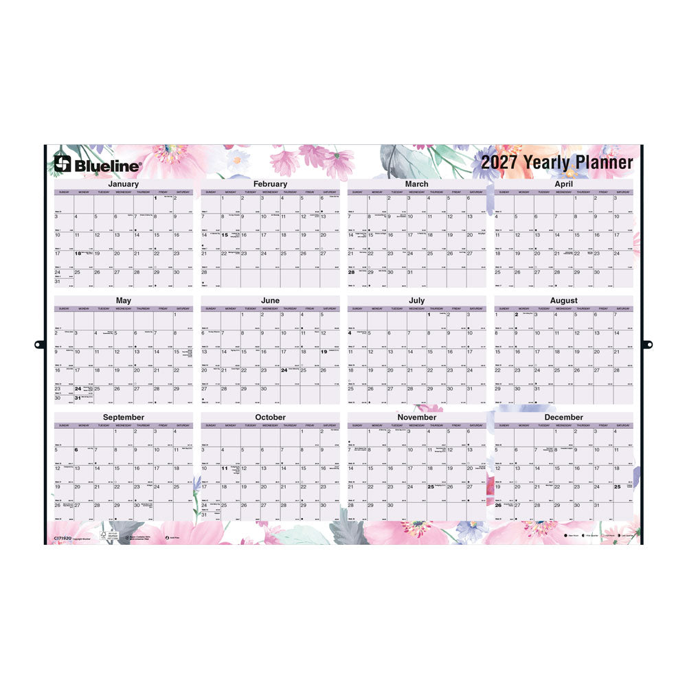 Yearly Wall Planner, Passion, English, 2027 C171920-27 Blueline C171920