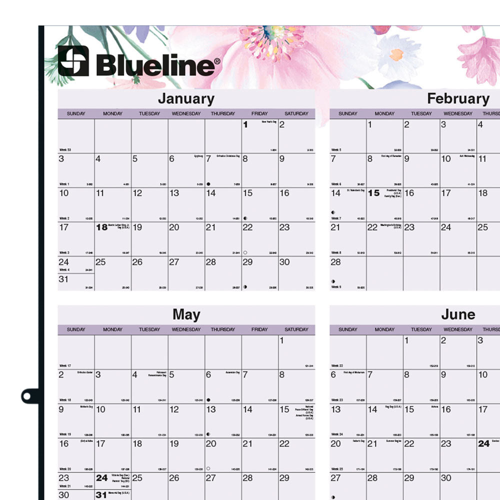Yearly Wall Planner, Passion, English, 2027 C171920-27 Blueline C171920