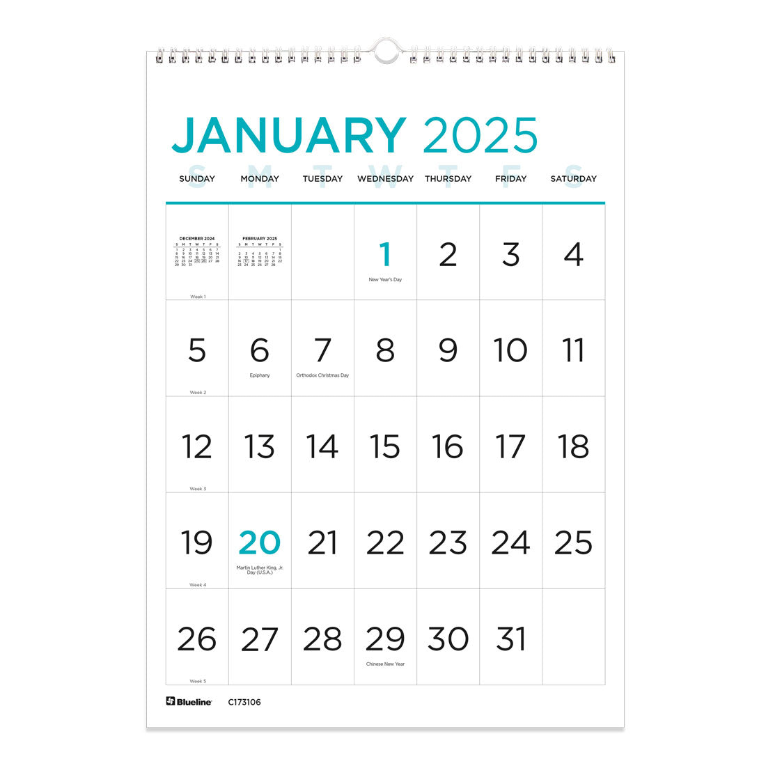 Large Print Wall Calendar 2025, English, C173106
