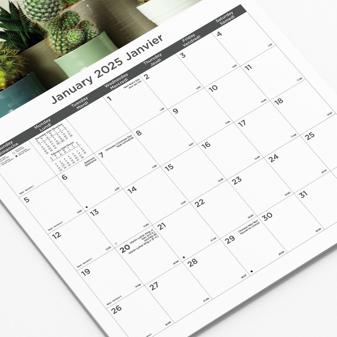 Succulent Plants Monthly Wall Calendar 2025, Bilingual, C173121B