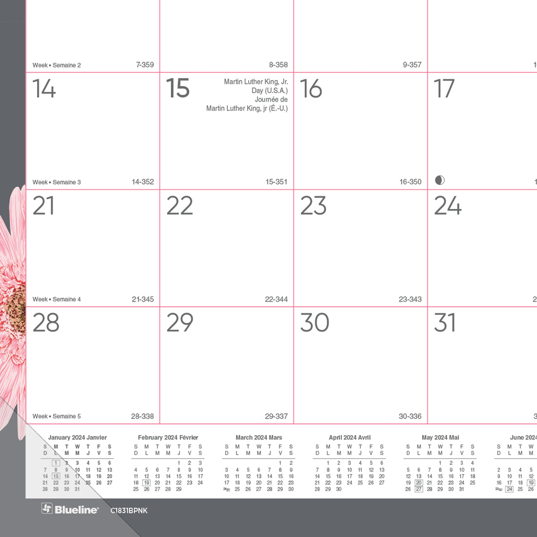 Pink Ribbon Monthly Desk Pad 2024, Bilingual, Pink Daisy Design