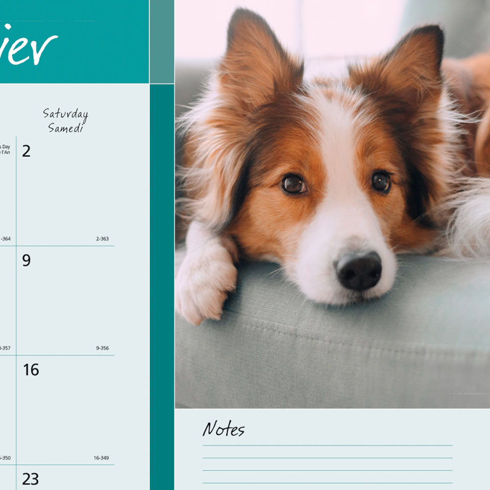 Monthly Desk Pad Calendar, Best Friend, Bilingual, 2027 C194116B-27 Blueline C194116B