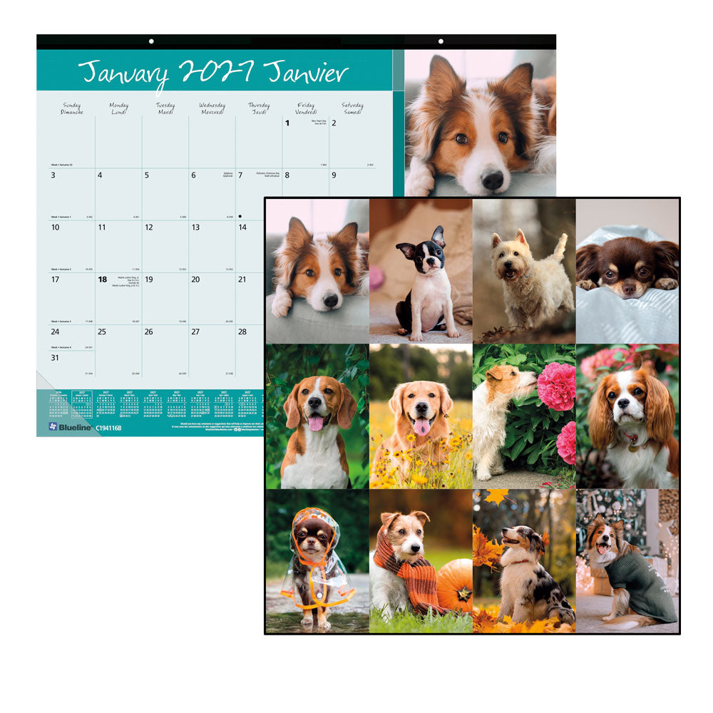 Monthly Desk Pad Calendar, Best Friend, Bilingual, 2027 C194116B-27 Blueline C194116B