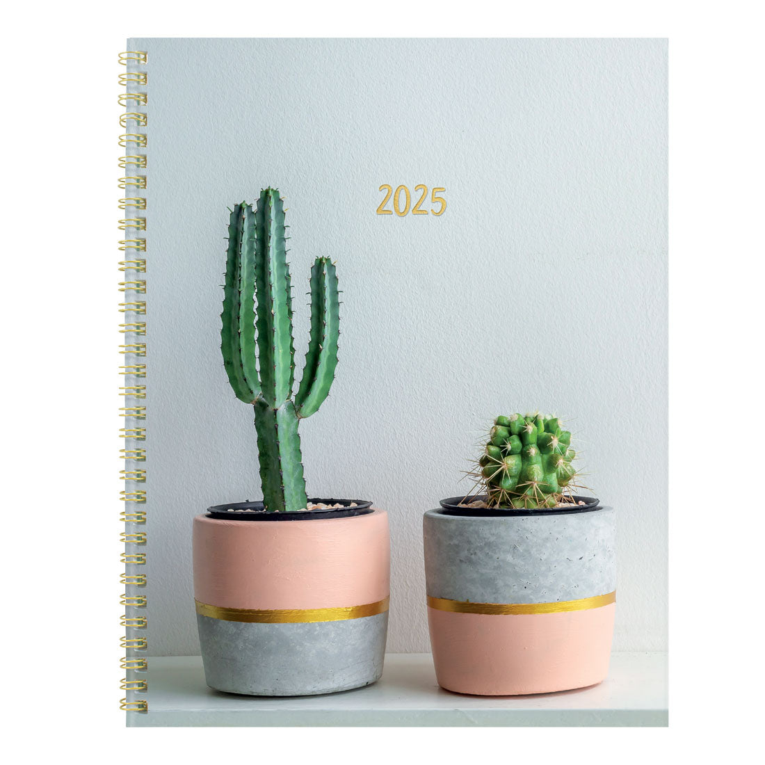 Succulent Plant Monthly Planner 2025, Bilingual, C701BPT.01