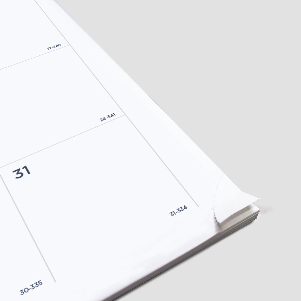 Blueline Minimalist Monthly Planner, 2027, Bilingual Assorted Designs C701BPT.ASX-27