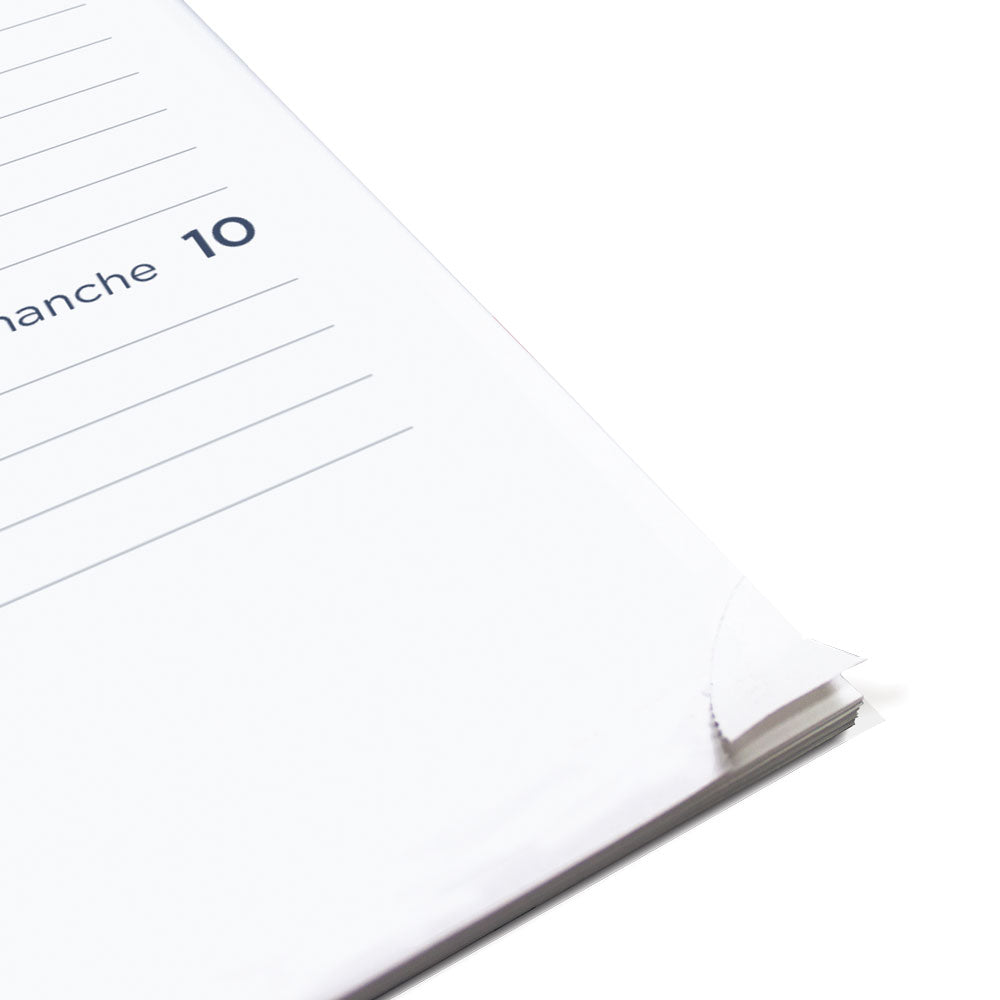 Minimalist Weekly/Monthly Planner, 2027, Bilingual, Assorted C958BPT.ASX-27 Blueline C958BPT.ASX