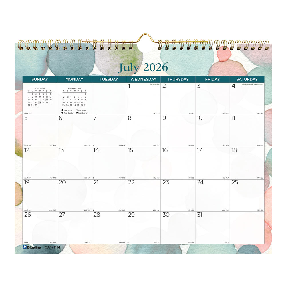 Academic Monthly Small Wall Calendar 2027, English, Splash CA171114