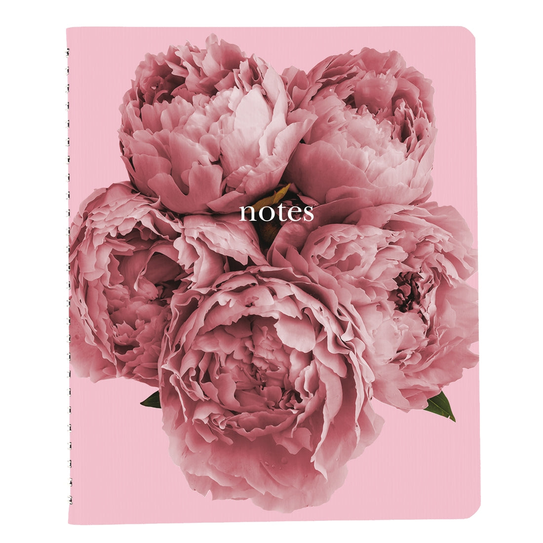 Pink Ribbon Collection – Blueline CDA